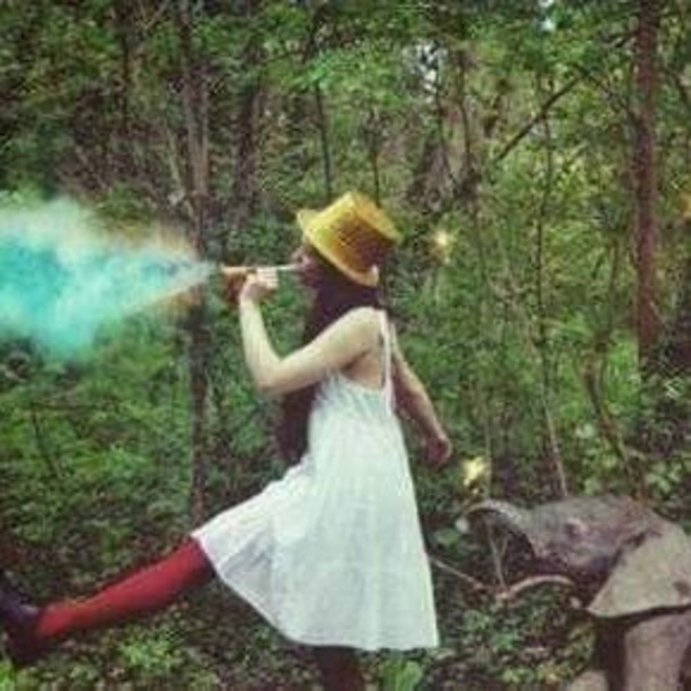 Meet your Posher, Julie